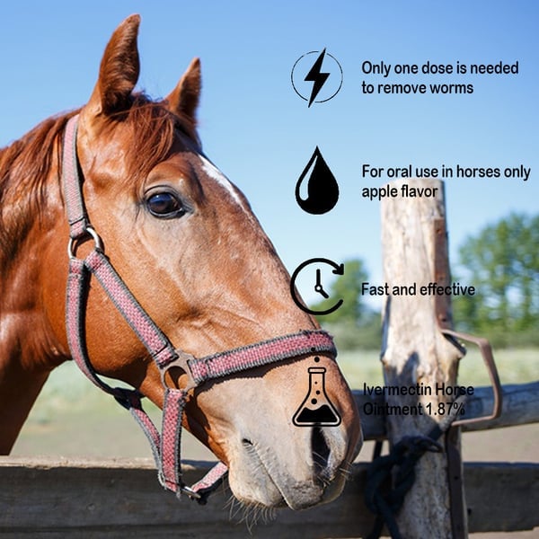 š„Last Day 49% OFF - Ivermectin Horse Paste 1.87% 6.08g Tubes