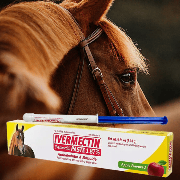 š„Last Day 49% OFF - Ivermectin Horse Paste 1.87% 6.08g Tubes